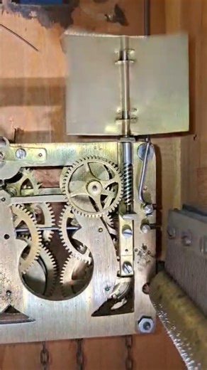 Cuckoo Clock Mechanism During the Chime #shorts #chime #cuckooclock #mechanism #clockwork #closeup