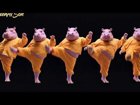 These Hippos Can’t Stop Dancing | 4K #GoldenAIAeon #VisualChoreography #HappyDance #PlayfulArt