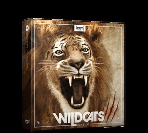 Wildcats | Premium Wild Cat Sounds By BOOM Library
