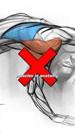 Stop Drawing Muscles! Do THIS instead.