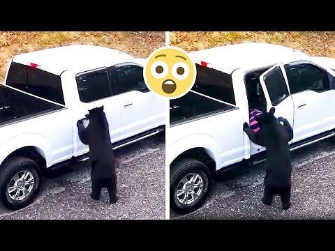 Funny Car & Truck Fails Compilation