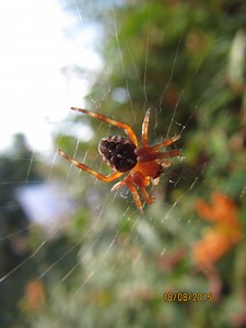 Canon PowerShot D30 sample image