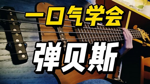 少走点弯路吧！从零开始教你贝斯基础概念、演奏技巧、音乐理解、实战应用、持续学习方法 【贝斯教学 | 零基础入门课程合集】