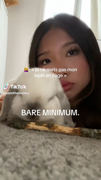 #fyp #bunnytok #lapin #lapinbelier #minilop