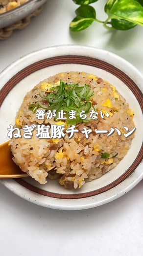 ねぎ塩豚チャーハン！10分でやみつきレシピ
