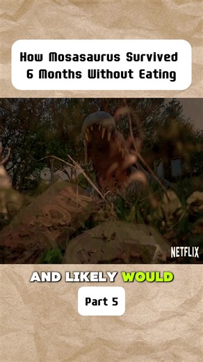 How Mosasaurus Survived 6 Months Without Eating - Part5 #Mosasaurus #JurassicWorld #DinosaurFacts #Dinosaurs #PrehistoricLif