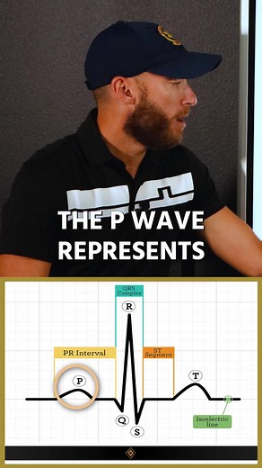 ECG Basics: Understanding Heart Rhythms with The Paramedic Coach