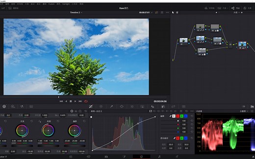 通过一个案例学会ARW格式视频的调色思路及达芬奇调色详细演示（有C70的RAW LT原文件分享）