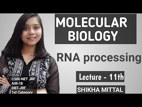 RNA Processing - MOLECULAR BIOLOGY CSIR-NET JRF LIFESCIENCE
