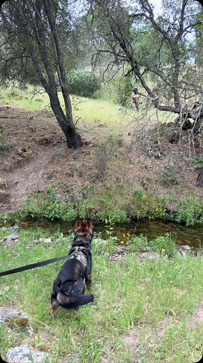 Tactical Tracking School on Reels