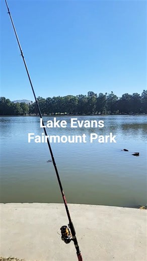 California Lake Fishing #FishingWithDreadfish #californialake @tyroncoleman8029