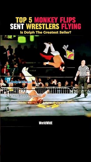 These Monkey Flips Sent Wrestlers FLYING 😳 #wwe #wweshorts