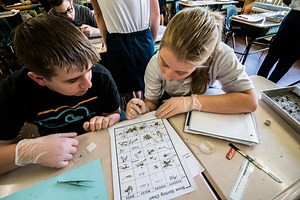 7th Graders at St. Bernard School Dissect Owl Pellet for their second Life Science Lab
