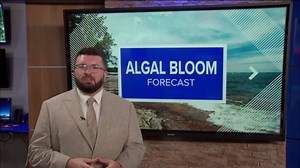 Lake Erie's algal bloom shrinks, but toxin levels remain a concern