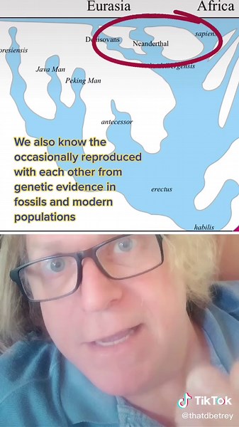 Classifying Human Species: Understanding Our Evolution