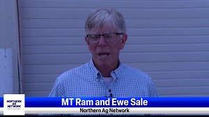 MT Ram and Ewe Sale with interviews from Ben Lehfeldt and Montana Wool Growers Association | Northern Ag Network