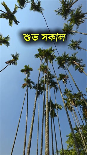 শুভ সকাল | ৪ নভেম্বর | বৃহস্পতিবার | ২০২৫ খ্রীস্টাব্দ #anisul #motivation