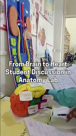 Student Exploring Anatomy Lab , explore human organs