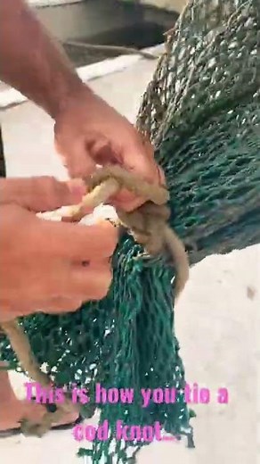 Tying Trawl Knot or Cod Knot