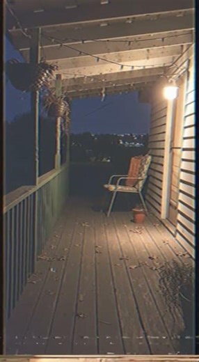 Subscribe 🔔 Real CCTV night vision footage caught on camera! #CCTV #NightVision #SecuritySources: