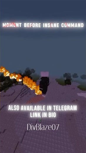 Moment Before Insane command #minecraft #shorts #divblaze07