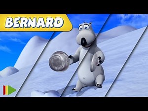 🐻‍❄️ BERNARD | Collection 31 | Full Episodes | VIDEOS and CARTOONS FOR KIDS