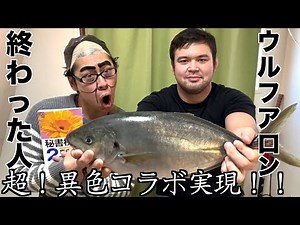 【終わった人コラボ】東大医学部頭悪くないかおじさんに縞鯵を食べていただきます。