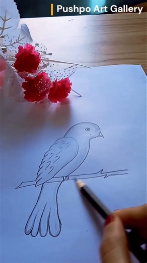 How to Draw A Bird From 2 | Easy Pencil Drawing Trick | Creative Art Idea #shorts