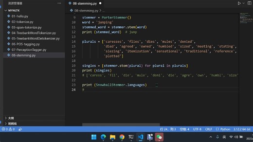 08-词干提取（stemming）