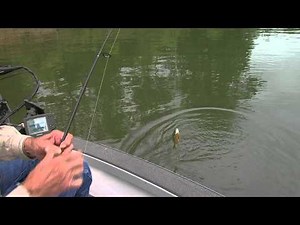 Bluegill Fishing with Roy Kenady