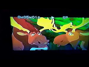 The Lion King 1 ½ 2004 VHS Opening