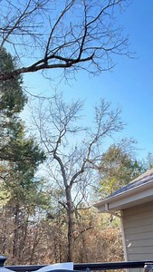 40K views · 2.8K reactions | Need your help! Send me your ideas to thedadbodveteran@outlook.com. Find out which show will be near you, and see which cane I get! Tickets at GenXTakeover.com | The Dadbod Veteran | Facebook