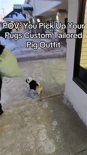 #pug #roodabeguh | roodabeguh tailor