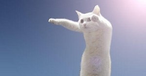 Pokémon Sword and Shield revives longcat meme for Gigantamax Meowth