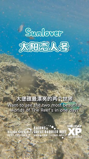 太陽戀人號出海｜外礁＋海島的大堡礁之旅！ 來凱恩斯如果只能選一天出海， 那一定要選 太陽戀人號！ 👉 一次搞定外堡礁＋海島，效率直接拉滿🔥 🐠 你可以： ✔️ 浮潛看珊瑚魚群 ✔️ 深潛探索海底世界 ✔️ 海底漫步零基礎也能下海 ✔️ 搭直升機俯瞰大堡礁，空中視角美到窒息🚁 而且船上還有： 🚤 半潛水艇 / 玻璃底船 / 水下觀景台 不用下水也能看到繽紛珊瑚和熱帶魚， 運氣好還能遇到 海龜🐢、礁鯊🦈！ 🏝【中午前往翡翠島 Fitzroy Island】 上島後自由活動： 🌴 海邊散步、玩水、曬太陽 😌 躺著放空感受海島節奏 🍴 中午在 海景餐廳享用午餐，一邊吃一邊看海，太chill了～ ✨ 一天之內： 外礁冒險＋海島度假＝雙倍快樂！ 不管是情侶、家庭、朋友、畢業旅行都超適合💙 📩 想瞭解出海時間、價格、活動怎麼選？ 私訊我幫你安排大堡礁一日游！ #凱恩斯 #大堡礁 #太陽戀人號 #外礁一日游 #翡翠島 #FitzroyIsland #浮潛 #深潛 #玻璃底船 #海島度假 | 假期旅行社 Holidayxp 澳洲