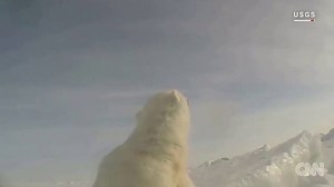 A point of view camera reveals what life is really like for polar bears in the Arctic. http://on.hln.tv/61858PxDV | HLN