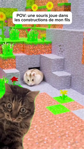 Cortex Kid sur TikTok