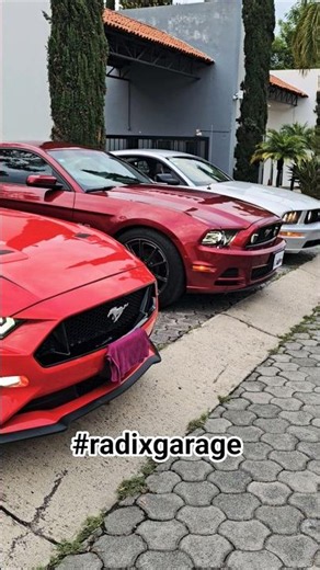 MUSTANGS RADIX GARAGE #radixgarage #mustang #s197 #s550 #mustang_fans
