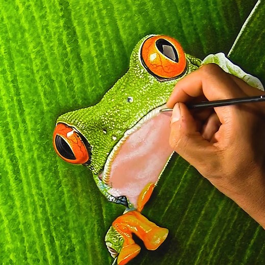 517K views · 27K reactions | Frog drawing ... so realistic that it could flicks out the tongue  | Marcello Barenghi - Illustrator | Facebook