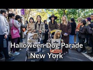 👻 Dog Halloween Parade at Washington Square Park | Greenwich Village NYC | 4k