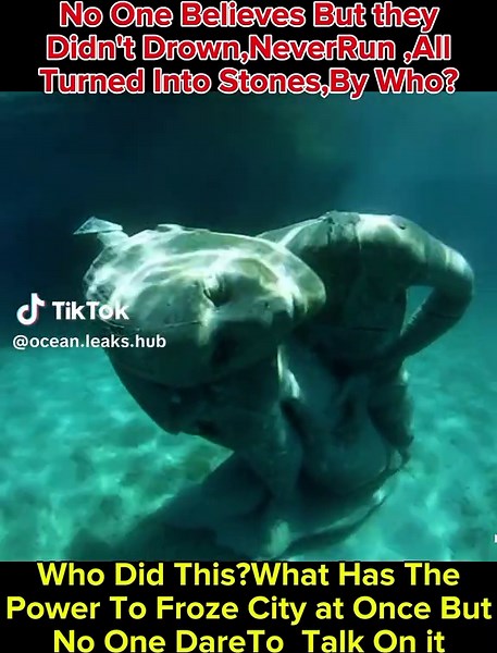 Discover Underwater Mysteries of the Ocean