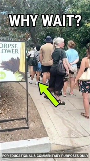 Why Is Everyone Lining Up For This? 😱 #CorpseFlower #Shorts