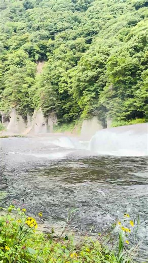 #吹割渓谷#吹割の滝#滝#滝の音 #群馬県#沼田市#迫力#ドライブ#お出かけ#川の流れ#夏休み