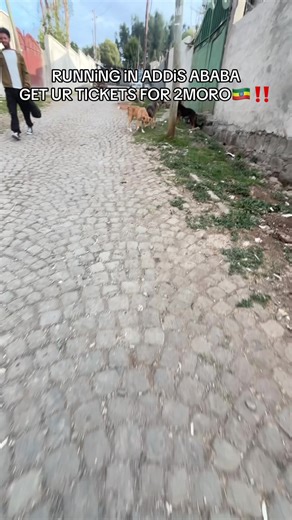 BIG SHOW AT 📍VENUE WAREHOUSE 🇪🇹 @MASHELA BOY @Blén @Ebne Hakim | ዕብነ ሐኪም @weeha And moooore #running #liveshow #ethopiantiktok #habeshatiktok