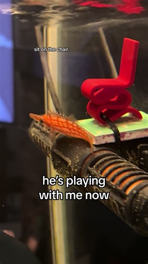 3D Printing Fun with Picnic the Fish Creation