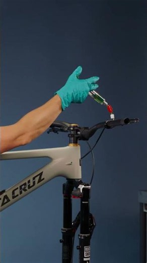 You've Never Seen a Tallboy Like This | Limited Edition Santa Cruz
