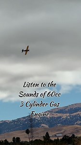 F6F Hellcat with 60cc 3 Cylinders #rchobbies #rcpilot #rclovers #rcplane #rctoys #aviation #RC # | RC Lovers