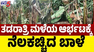 Female Orangutan Minnie Dies At Mysore Zoo | ಮೈಸೂರಿನಲ್ಲಿ ಕೊನೆಗೂ ಬದುಕುಳಿಯದ ಒರಾಂಗೂಟಾನ್ | ⁨@TV5Kannada⁩ #RIPMinnie #mysorezoo #OrangutanMinnie #mysorezooOrangutan #OrangutanConservation #WildlifeLoss #EndangeredSpecies #ZooLife #AnimalLovers #MysoreZooNews #tv5kannada #tv5 #tv5kannadanews #breakingnews #politicalnews #politicalnews #latestnews #kannadanews #karnatakanews #karnatalalatestnews #karnatakapolitics | TV5 Kannada