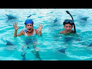 Last to Leave the SHARK Infested Waters!!