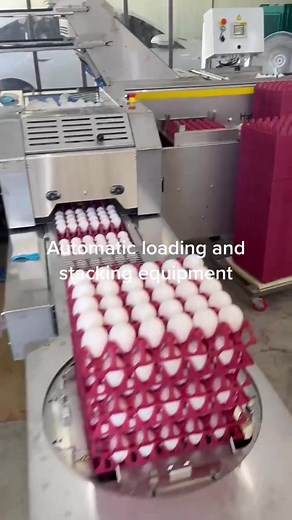 Efficient Egg Stacking Equipment for Raising Productivity